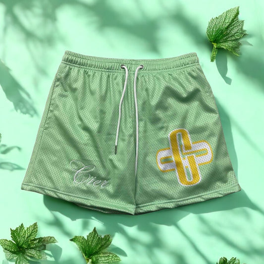 CIER Brand Mint Green Shorts